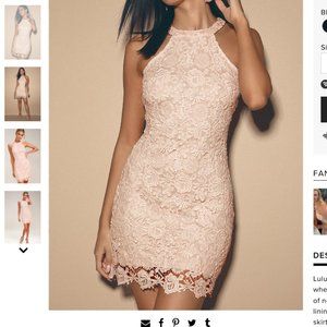 Lulu's Love Poem Pink Blush Lace Mini Dress-Medium
